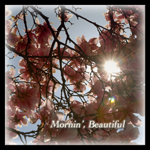 Mornin', Beautiful - a video by Lynette5168