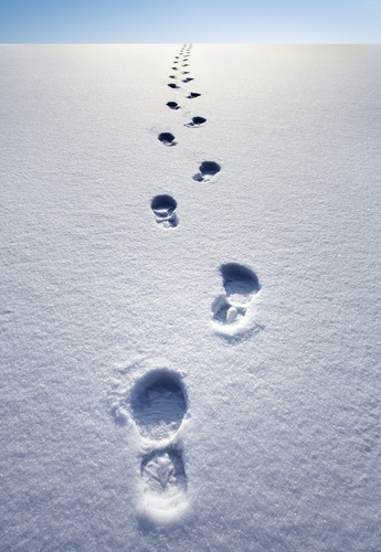 A  line of solitary footprints in the snow disappear into the horizon. 