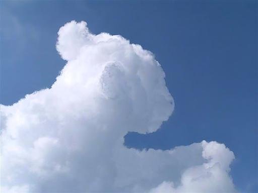 A white cumulus cloud shaped like a lion cub drifts in a blue sky. 
