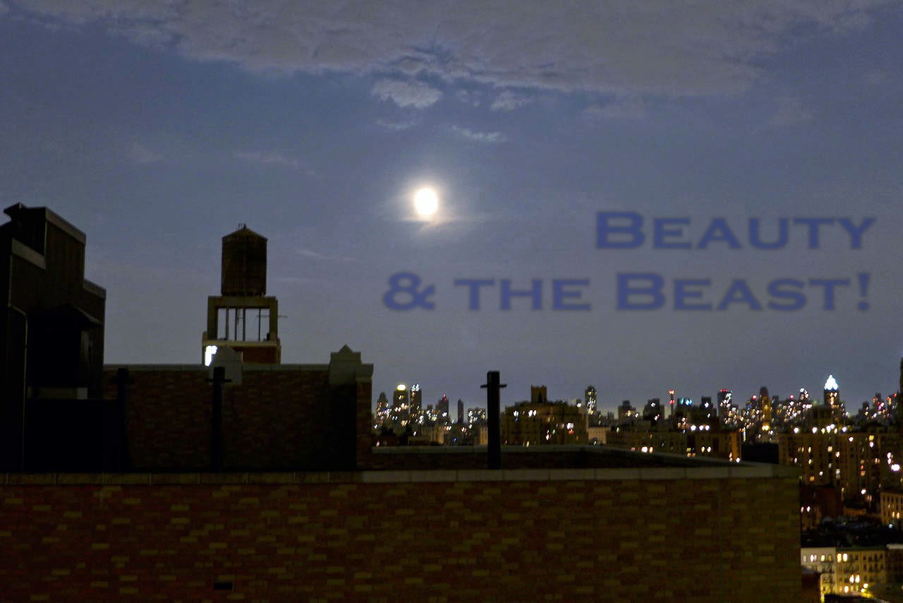 Beauty and the Beast!