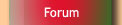 Il Forum