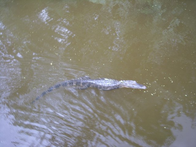 DSCN0902.JPG