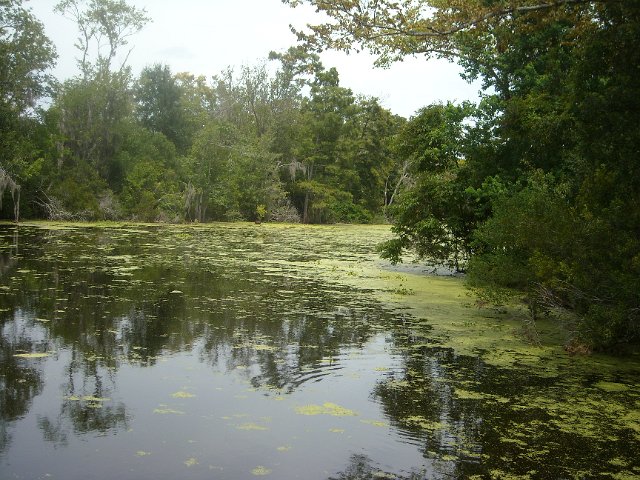 DSCN0907.JPG