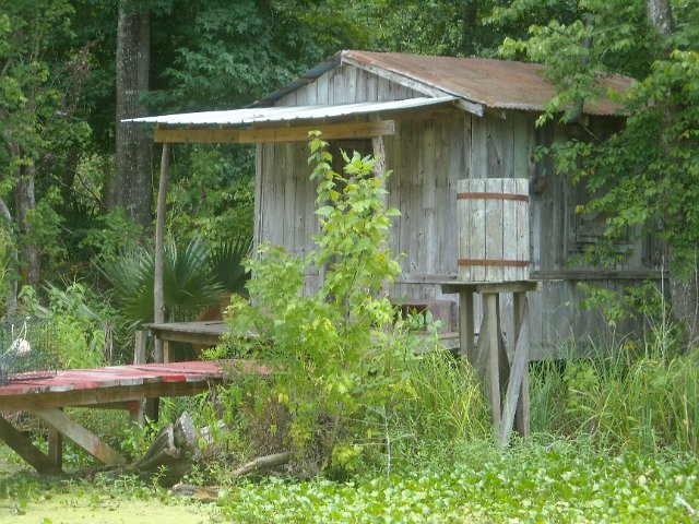 DSCN0915.JPG