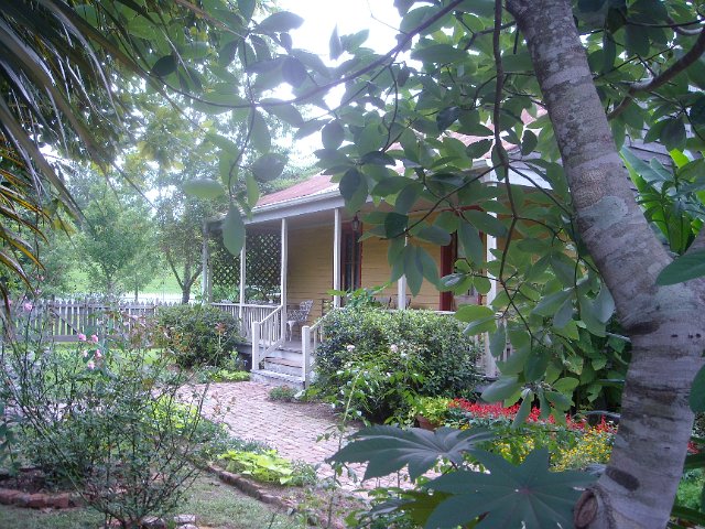 DSCN0959.JPG