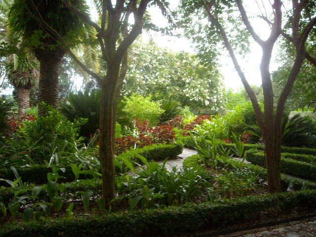 DSCN0966.JPG