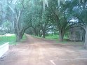DSCN0974
