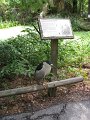 IMG_2868