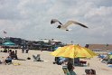 IMG_5362