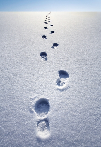 A  line of solitary footprints in the snow disappear into the horizon.