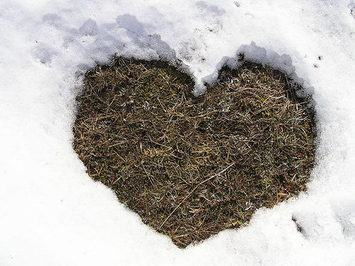 A heart-shaped section of grass shows through blanket of snow.