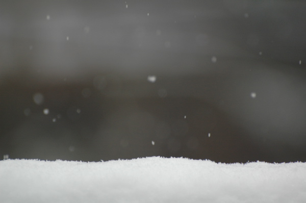 Snowflakes fall to the ground in a foggy landscape