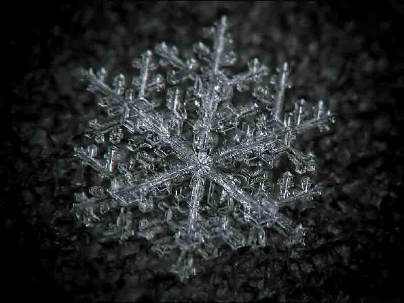 An intricate crystal snowflake.