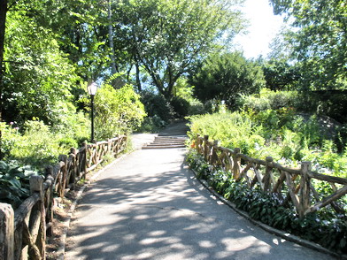 a fenced path in the park, lined with greenery