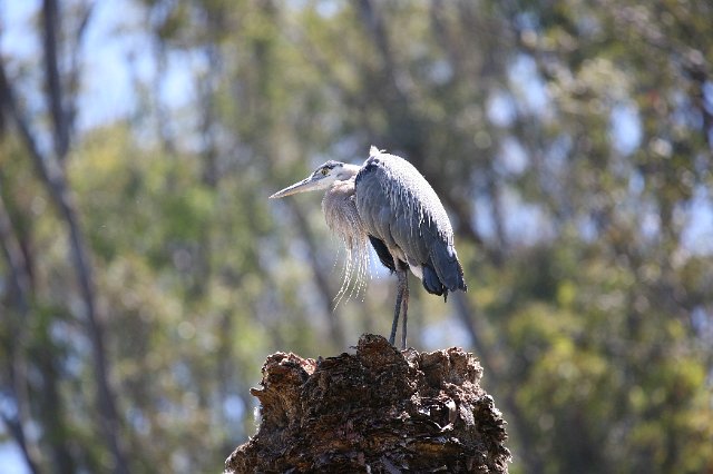 IMG_3190.JPG