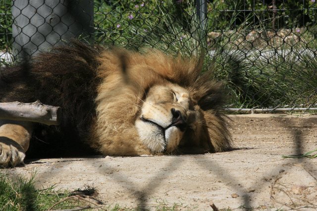 _MG_3164.JPG