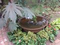 IMG_1059