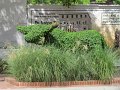 IMG_0247