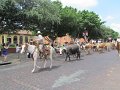 IMG_0274