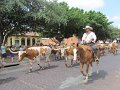 IMG_0276