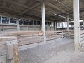 IMG_0301