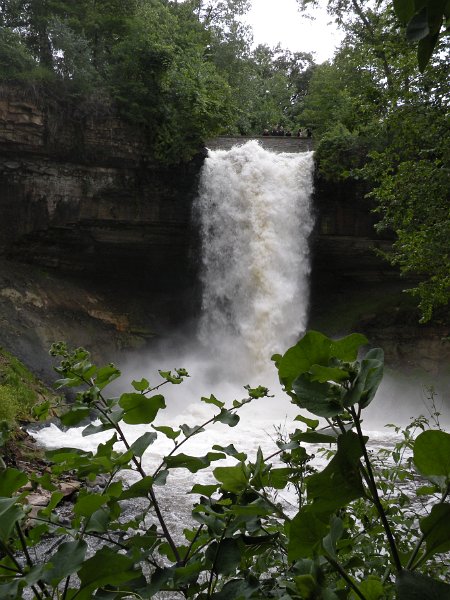 Original image