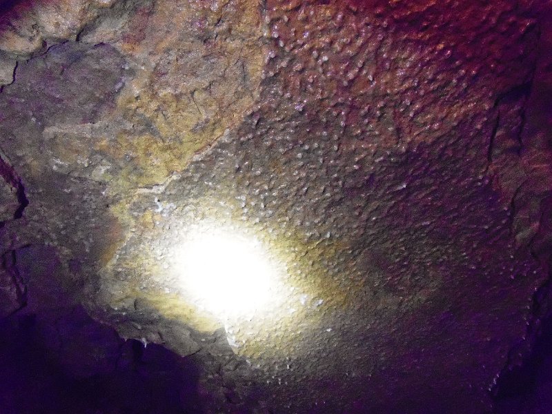 Original image
