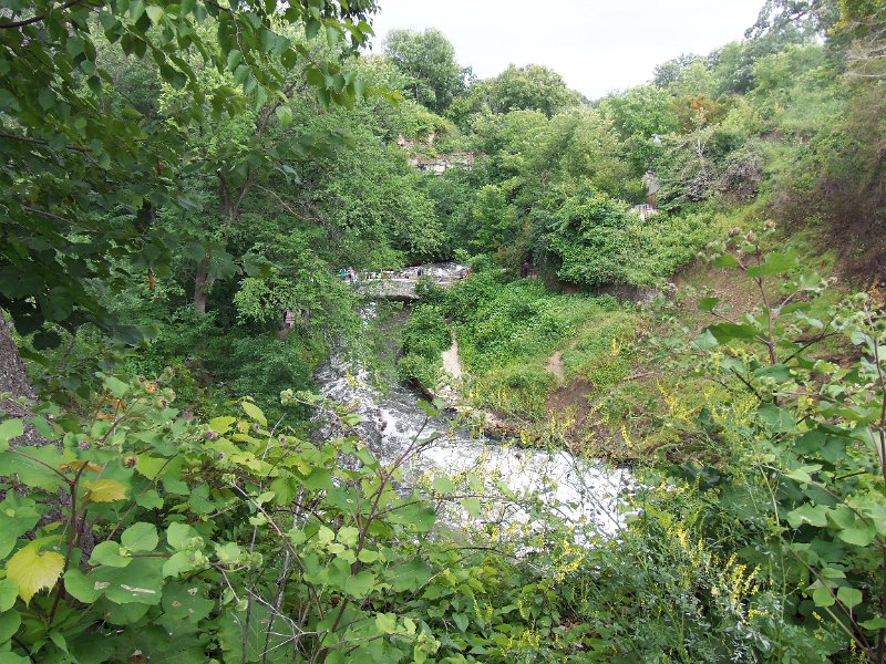 Original image