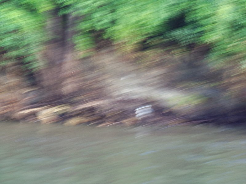 Original image