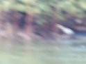 100_1974