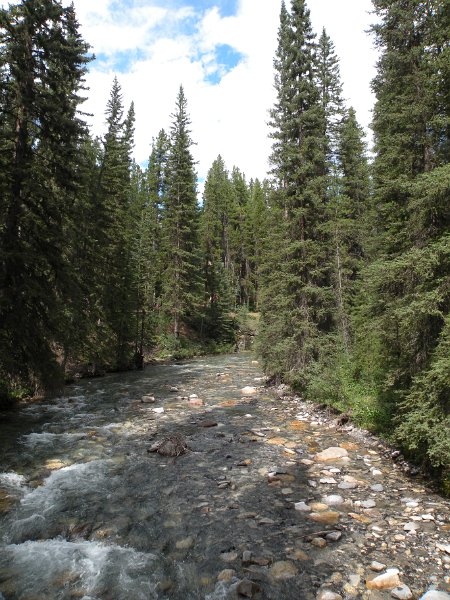 Original image