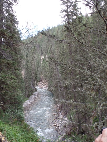 Original image