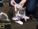 SAM_0437