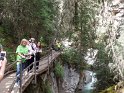 SAM_0743