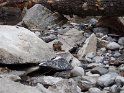 SAM_0755