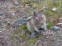 SAM_0797