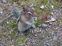 SAM_0798