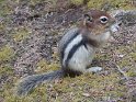 SAM_0803