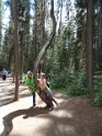 SAM_0807