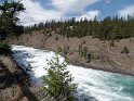 SAM_0964