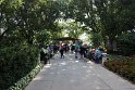 IMG_1725