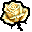 tiny white rose